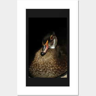 black duck pattern Posters and Art